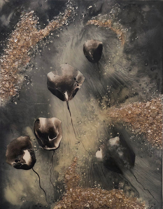 Poppies